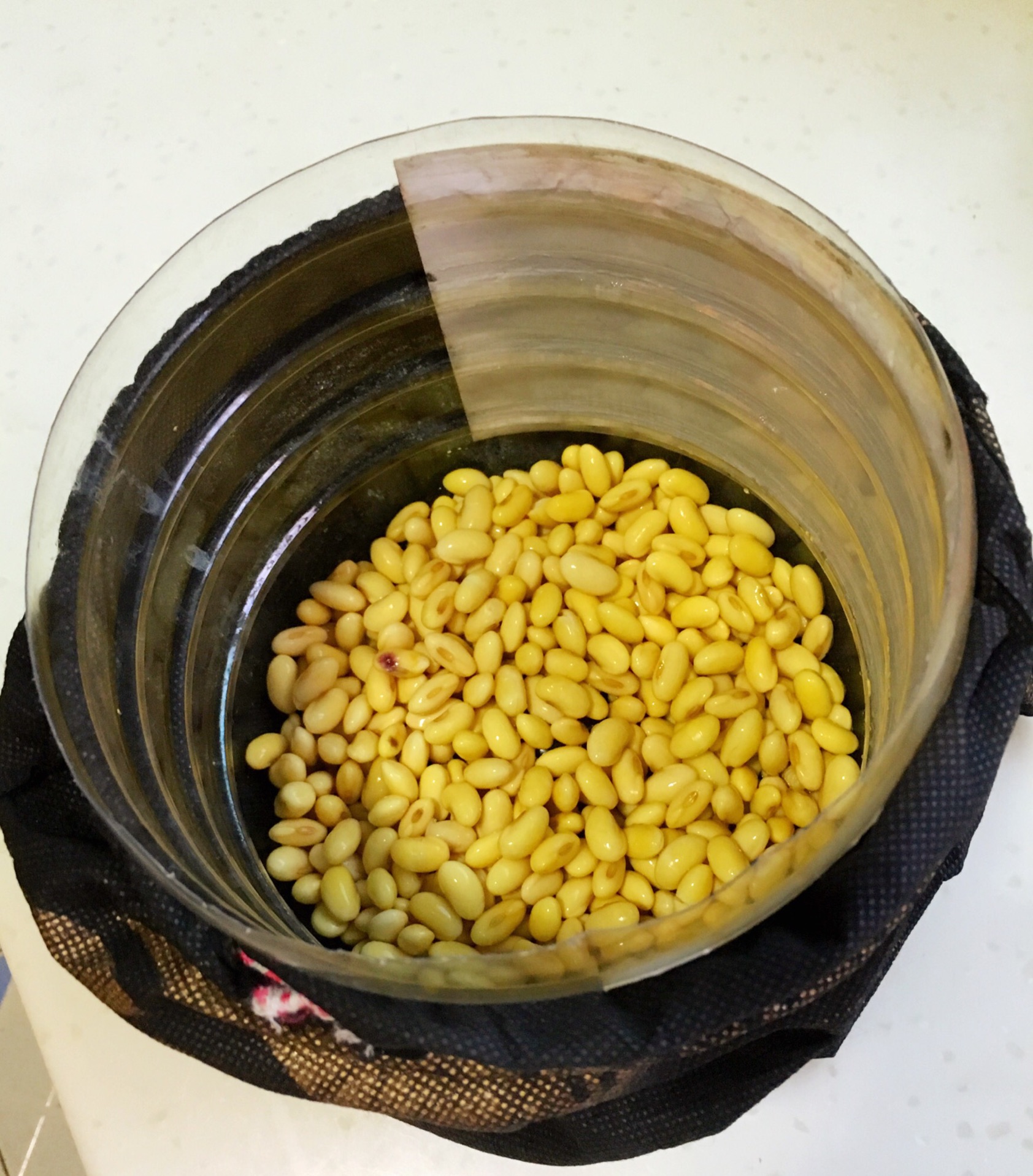 怎样制作黄豆芽-在家如何做黄豆芽