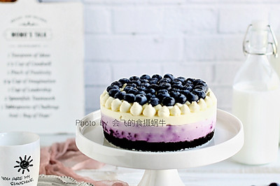 芝士就是力量——蓝莓奥利奥冻芝士蛋糕