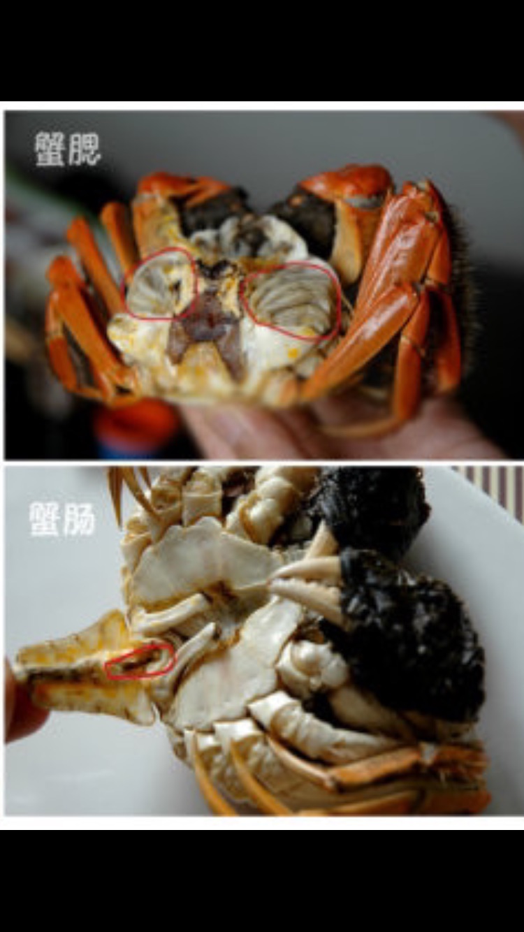 咖喱蟹的做法图解4