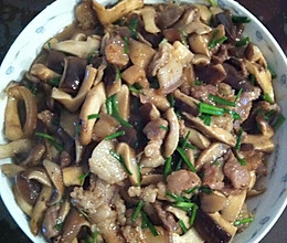 蘑菇肉片的做法