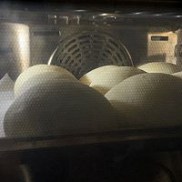 免揉面包的做法图解3