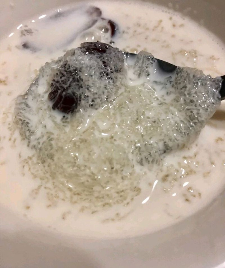 牛奶燕麦炖雪燕的做法