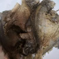 豆瓣鲳鱼的做法图解4