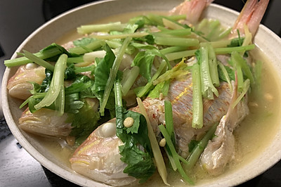 豆酱红杉鱼