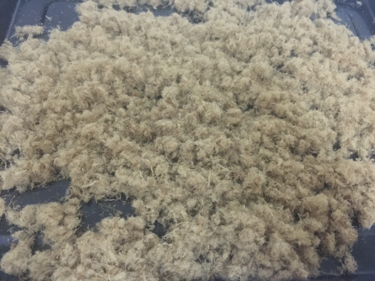 自制牛肉松的做法图解6