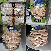 快手素炒蘑菇的做法图解1