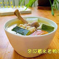 冬瓜薏米老鸭汤的做法图解10