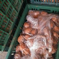 双岛湾海鸭蛋的腌制方法的做法图解4