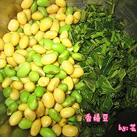 香椿豆的做法图解4