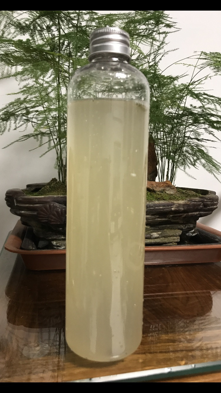 胡萝卜芹菜黄瓜酵素的做法