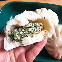 荠菜猪肉包的做法图解17