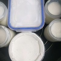 没有酸奶机制作酸奶的做法图解5