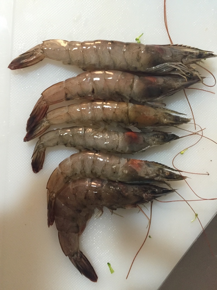 宝宝辅食之西兰花玉米虾仁泥的做法图解1