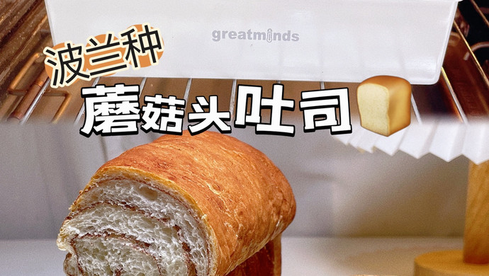 可可蘑菇头吐司味柔软好吃波兰种