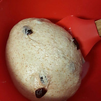 全麦蔓越莓软式欧包（免揉）的做法图解2