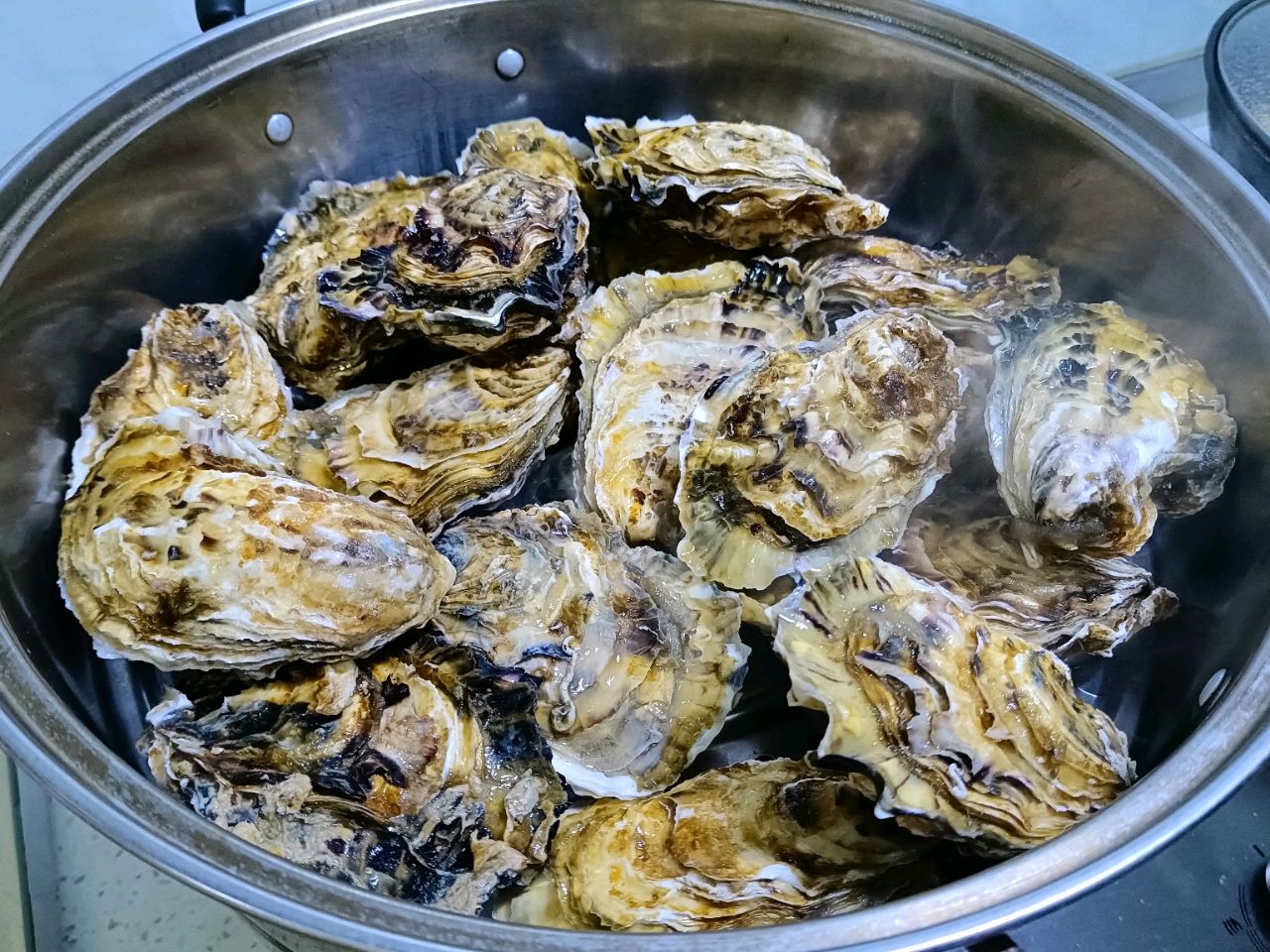 清蒸海蛎子怎么做_清蒸海蛎子的做法_豆果美食