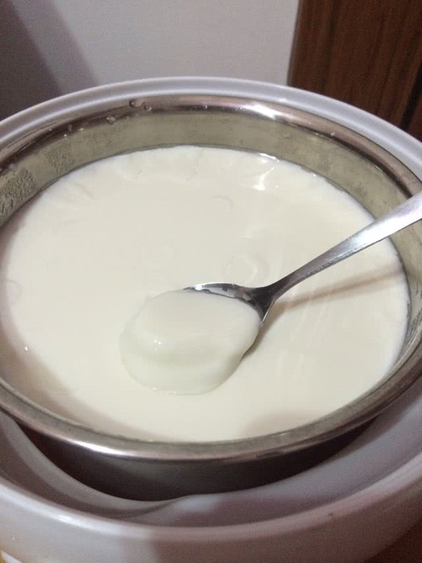 自制酸奶为何像豆腐花图片