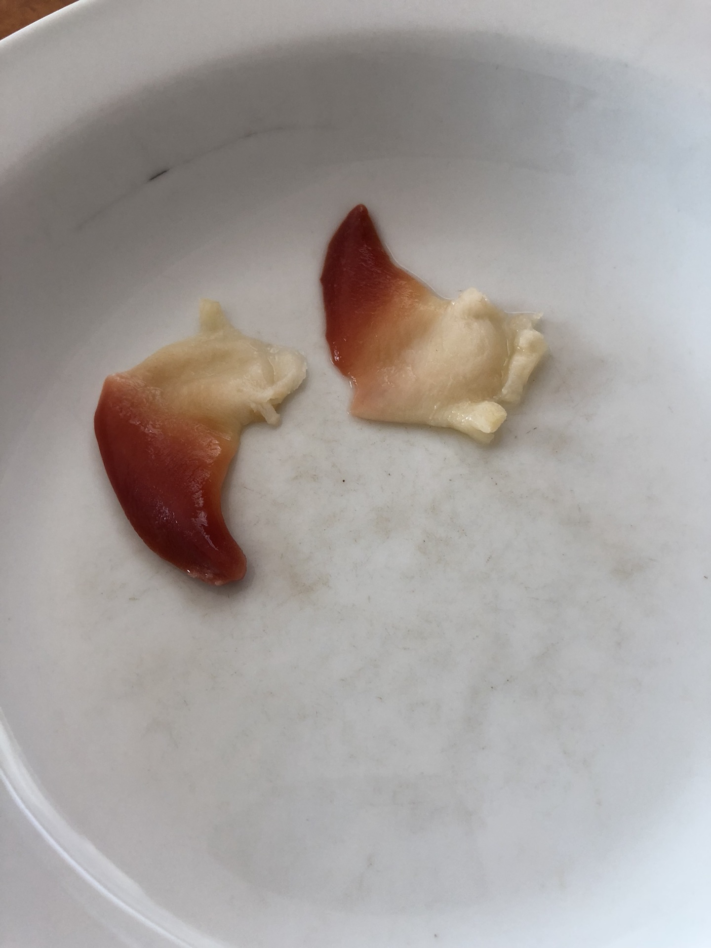 北极贝刺身怎么做 北极贝刺身的做法 豆果美食