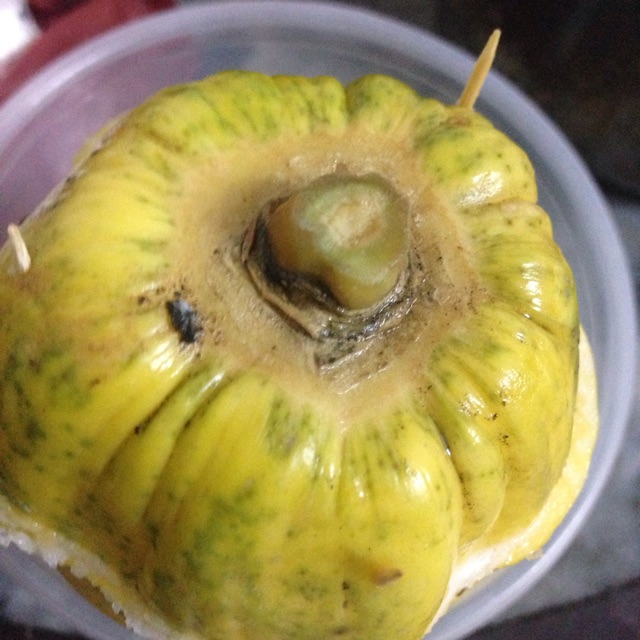 木瓜牛奶冻的做法图解7