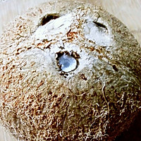 椰子全攻略【椰浆椰油椰蓉自制(附开椰诀窍)】当一回原始人吧!的做法图解3