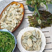 香椿馅儿饺子的做法图解8