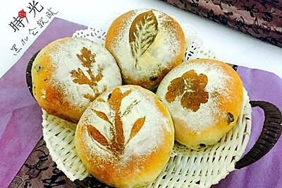 黑加仑软欧（波兰种）