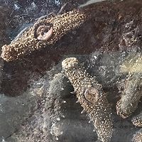 彩椒海参的做法图解1