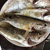清蒸野生桂鱼的做法图解3