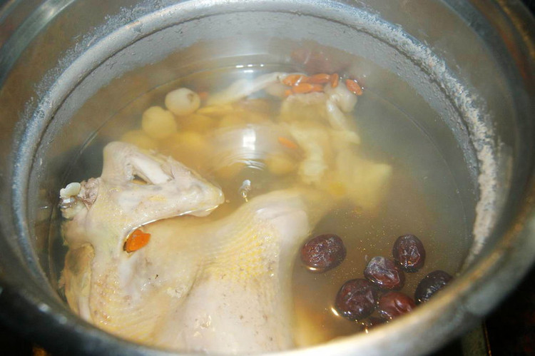 山鸡花胶汤的做法