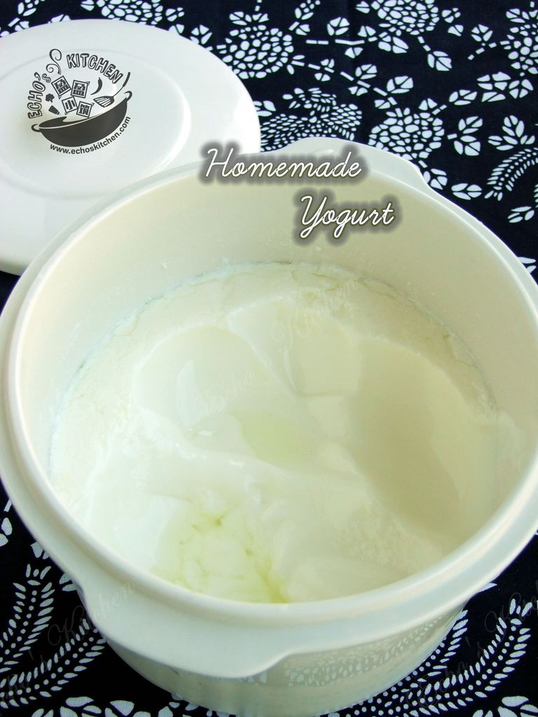 自制优格\/酸奶 Homemade Yogurt