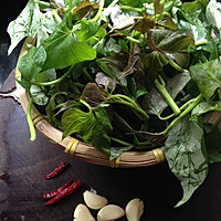 素食之— —清炒红薯叶的做法图解1