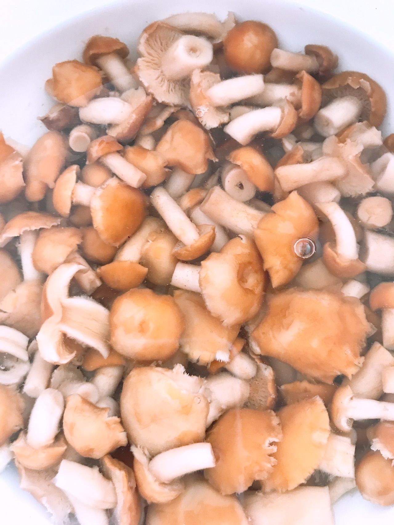 素炒滑子蘑的做法_【图解】素炒滑子蘑怎么做如何做好吃_素炒滑子蘑家常做法大全_羽卒3_豆果美食