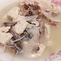 鱼头豆腐汤的做法图解7