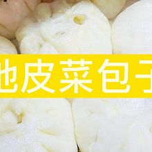 地皮菜包子