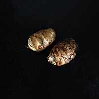 #豆豆的辅食#香芋西兰花牛油果泥的做法图解2