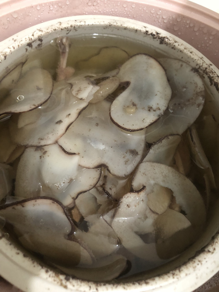 川贝麦冬海底椰炖白鸽的做法