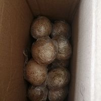 咸鸡蛋的做法图解9