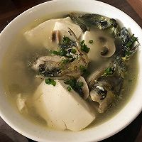 昂刺鱼豆腐汤的做法图解12