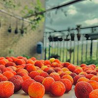 超级好喝的杨梅酒泡法的做法图解6