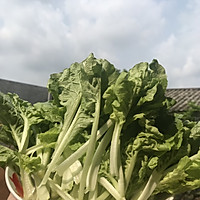 白灼青菜的做法图解1