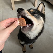 宠物饼干 狗饼干