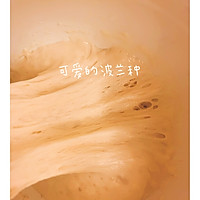 土耳其奶茶乳酪蔓越莓核桃全麦软欧包(波兰种)的做法图解1