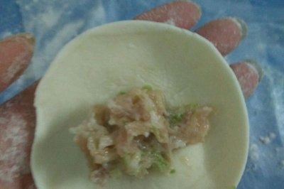 芹菜鸡肉饺子