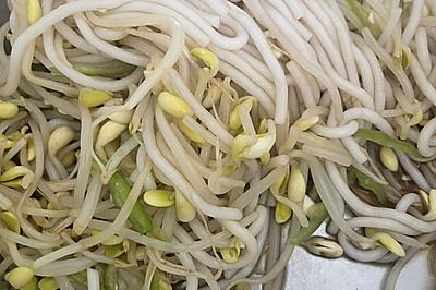 拌豆芽粉条