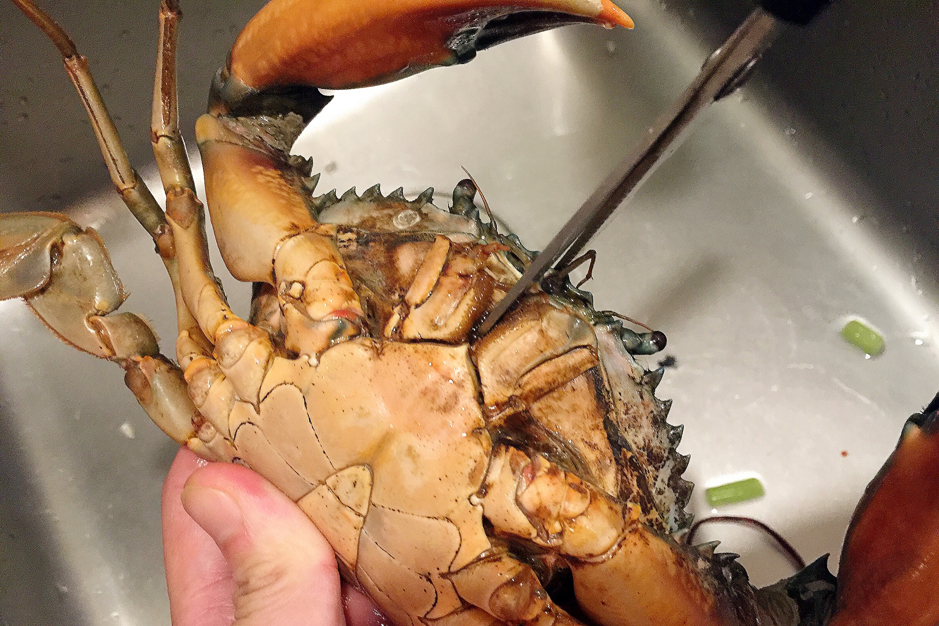 教你怎么清洗螃蟹怎么做_教你怎么清洗螃蟹的做法_豆果美食