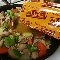 鸡腿咖喱饭#百梦多Lady咖喱#的做法图解10