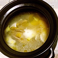 椰子鸽子汤的做法图解5