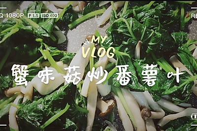 美味蔬食｜蟹味菇炒番薯叶