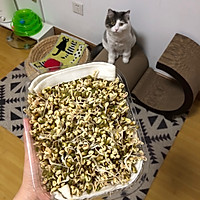 发豆芽的做法图解4