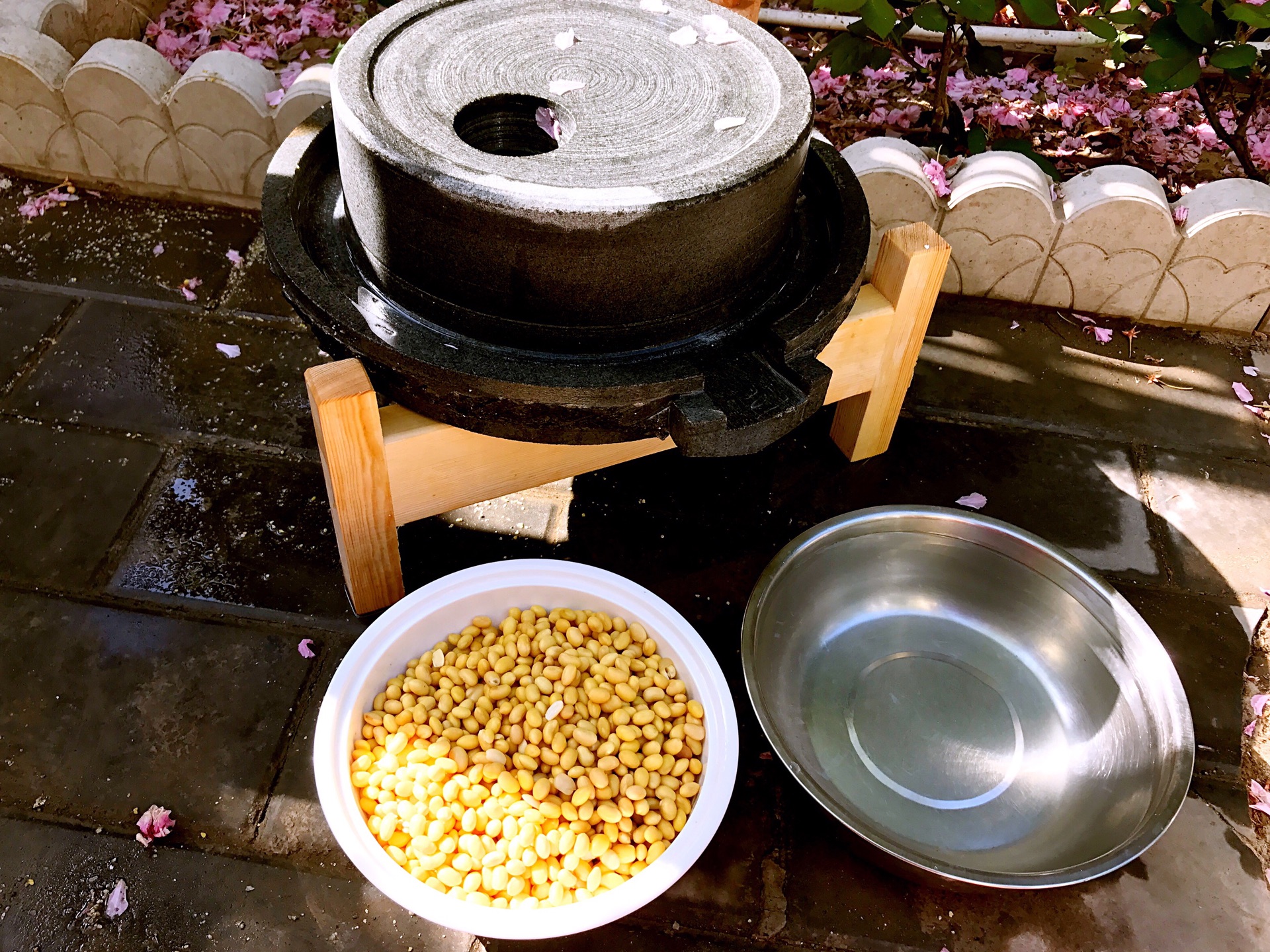 豆浆的做法和配方大全（制作豆浆的做法又浓又香） - 派优网
